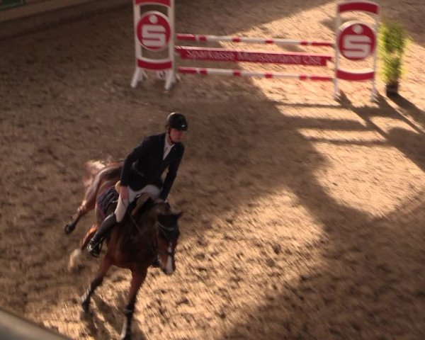 Reitturnier Oelde 2019