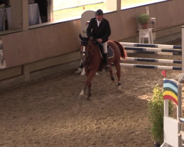 Reitturnier Oelde 2019