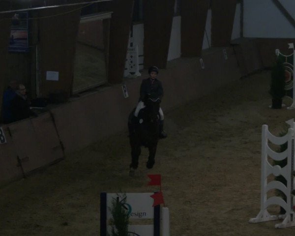 Reitturnier Bad Salzuflen 2019
