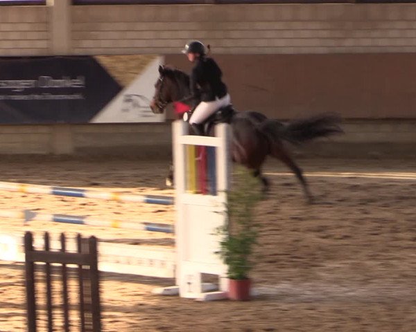 Reitturnier Oelde 2019