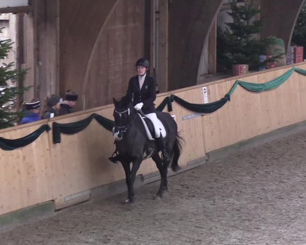 Reitturnier Leck 2019