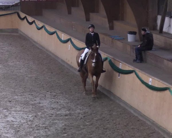 Reitturnier Leck 2019