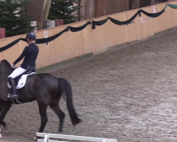 Reitturnier Leck 2019