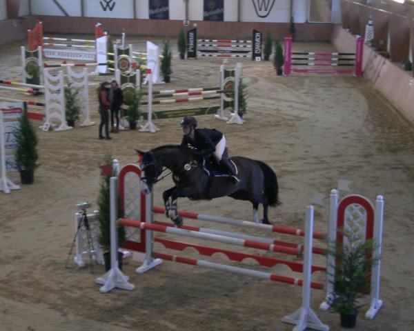 Reitturnier Bad Salzuflen 2019