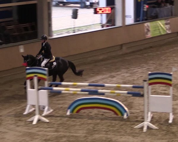 Reitturnier Oelde 2019
