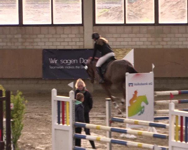 Reitturnier Oelde 2019