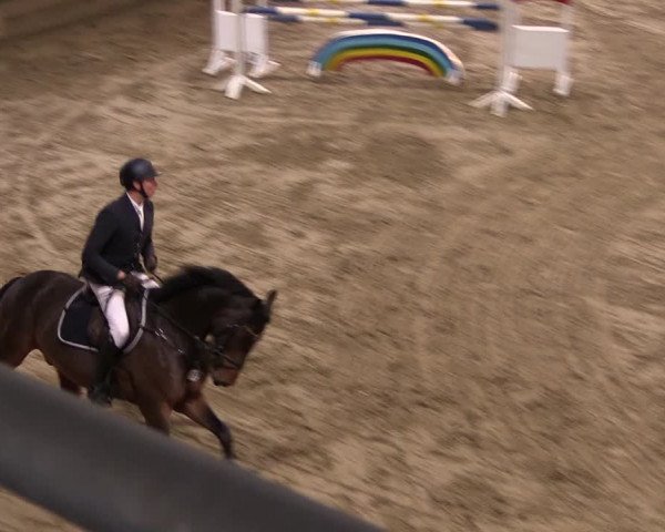 Reitturnier Oelde 2019