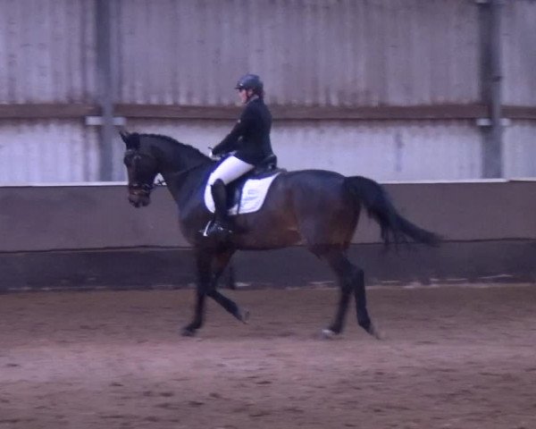 Reitturnier Troisdorf - Haus Rott 2019