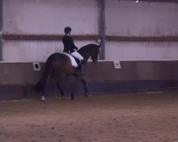 Reitturnier Troisdorf - Haus Rott 2019