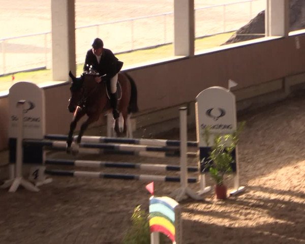 Reitturnier Oelde 2019