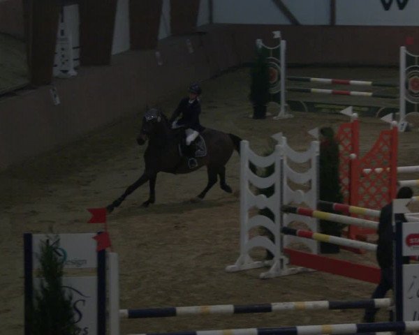 Reitturnier Bad Salzuflen 2019