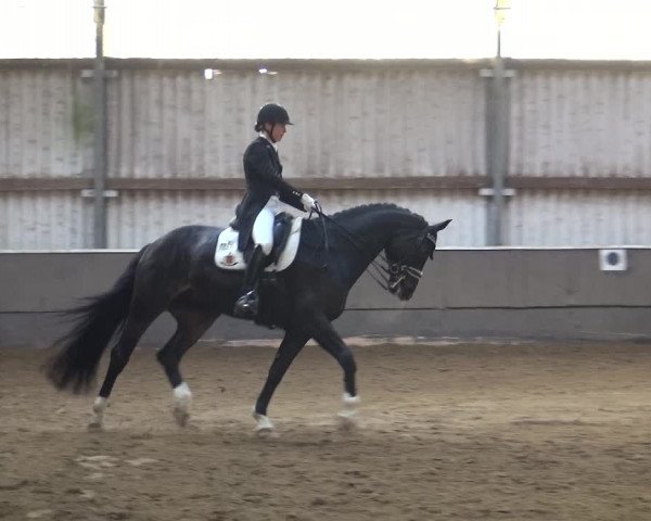 Reitturnier Troisdorf - Haus Rott 2019