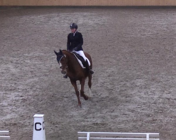 Reitturnier Leck 2019