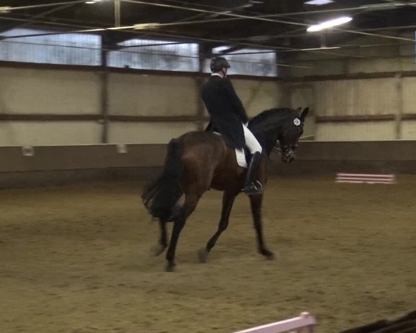 Reitturnier Troisdorf - Haus Rott 2019