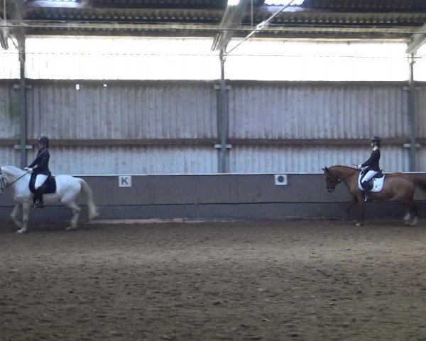 Reitturnier Troisdorf - Haus Rott 2019