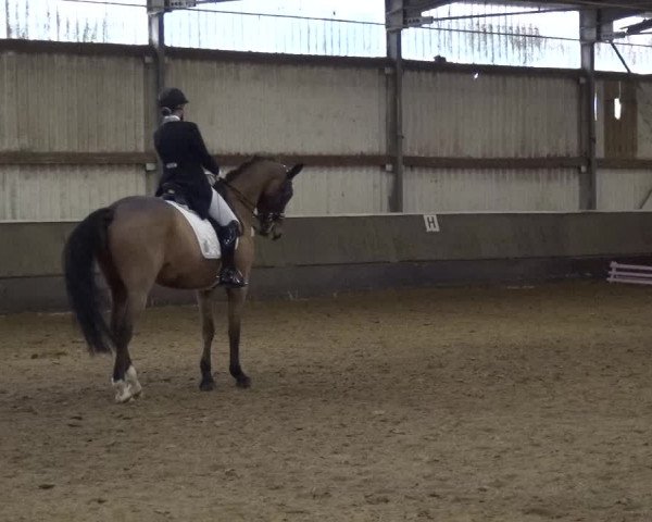 Reitturnier Troisdorf - Haus Rott 2019