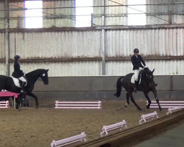 Reitturnier Troisdorf - Haus Rott 2019