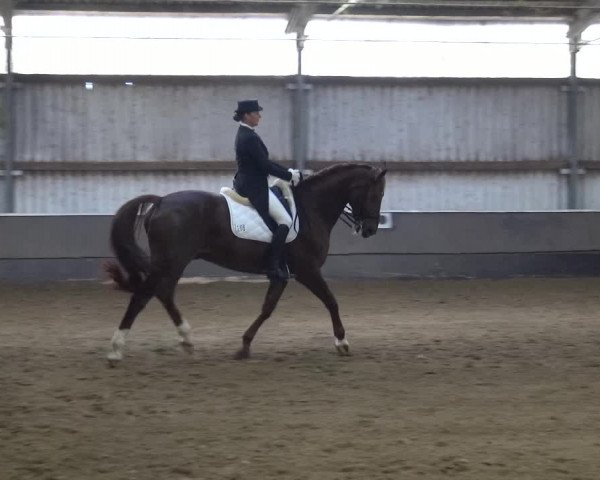 Reitturnier Troisdorf - Haus Rott 2019
