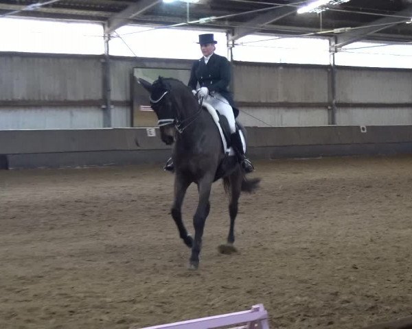 Reitturnier Troisdorf - Haus Rott 2019