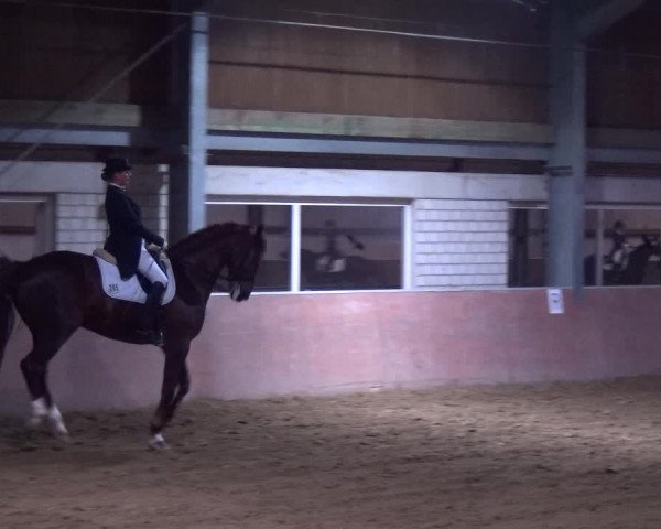 Reitturnier Troisdorf - Haus Rott 2019