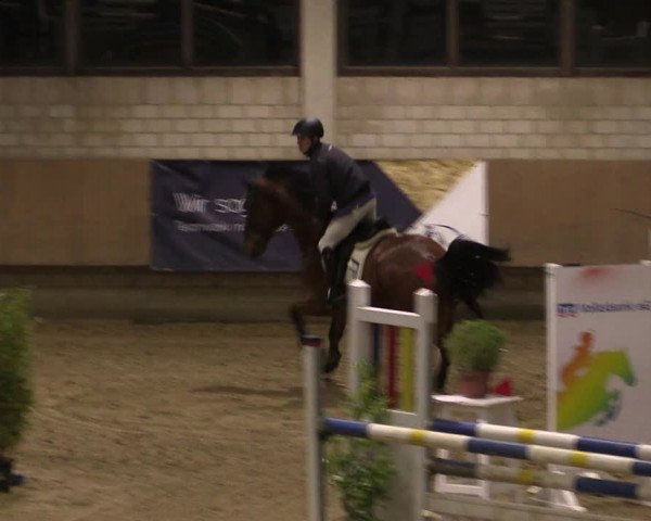Reitturnier Oelde 2019