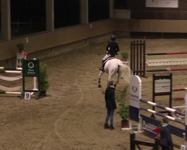 Reitturnier Oelde 2019