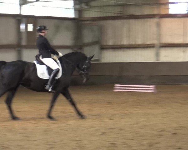 Reitturnier Troisdorf - Haus Rott 2019