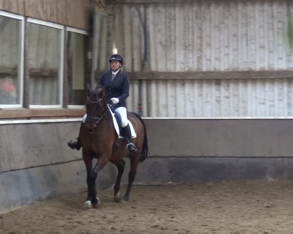 Reitturnier Troisdorf - Haus Rott 2019