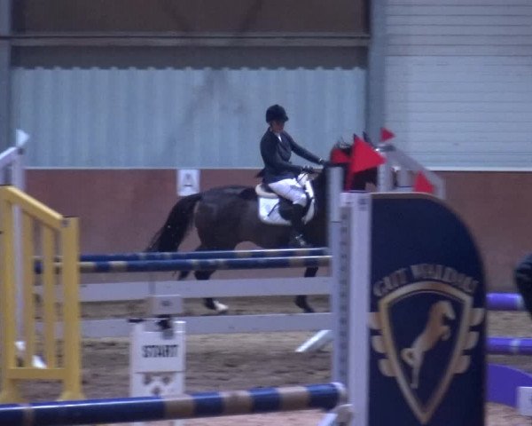 Reitturnier Troisdorf - Haus Rott 2019
