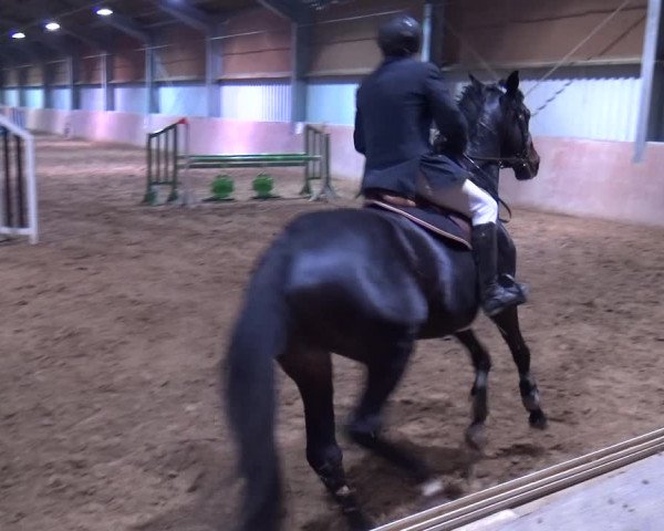 Reitturnier Troisdorf - Haus Rott 2019