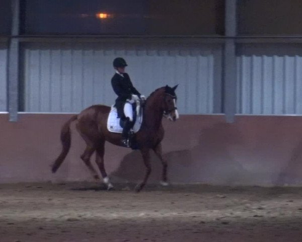Reitturnier Troisdorf - Haus Rott 2019
