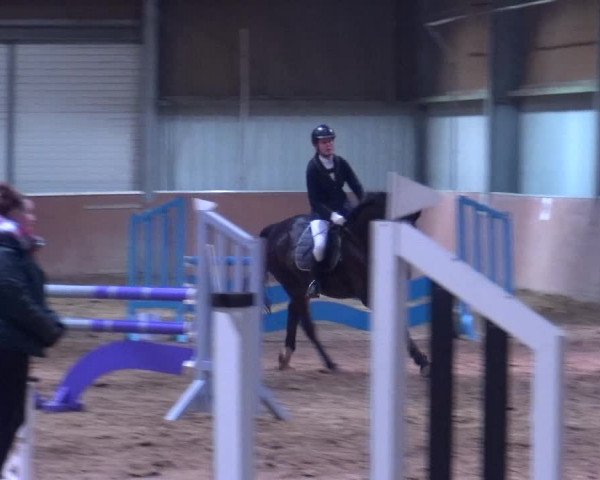 Reitturnier Troisdorf - Haus Rott 2019