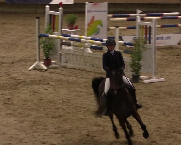 Reitturnier Oelde 2019