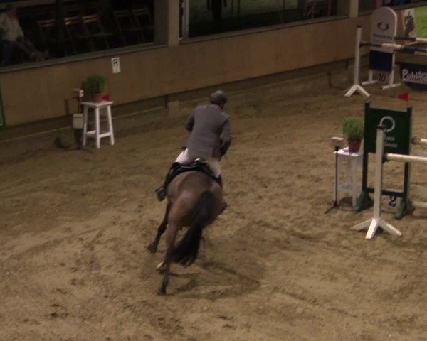 Reitturnier Oelde 2019