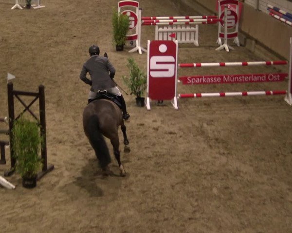 Reitturnier Oelde 2019