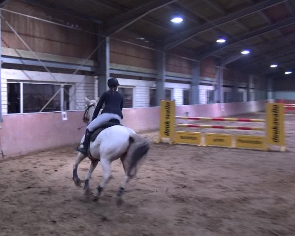 Reitturnier Troisdorf - Haus Rott 2019