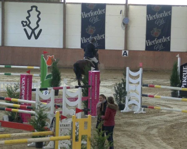 Reitturnier Bad Salzuflen 2019