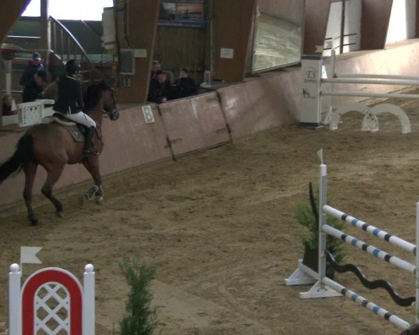 Reitturnier Bad Salzuflen 2019
