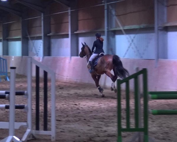Reitturnier Troisdorf - Haus Rott 2019