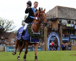 jumper Glenavadra Brilliant (Irish Sport Horse, 2003, from Brilliant Lad)