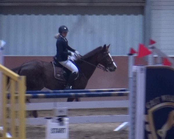 Reitturnier Troisdorf - Haus Rott 2019