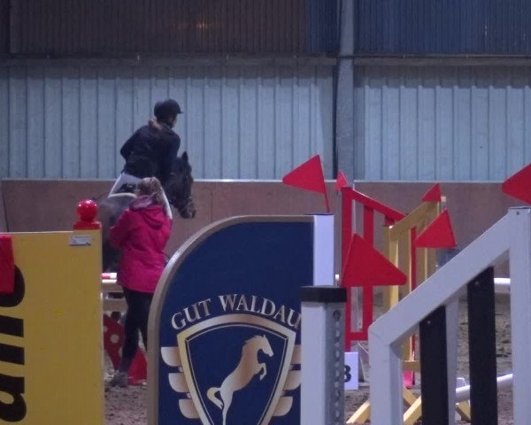 Reitturnier Troisdorf - Haus Rott 2019