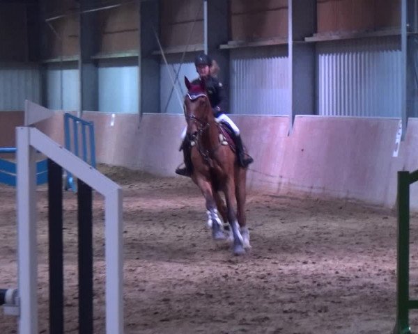 Reitturnier Troisdorf - Haus Rott 2019