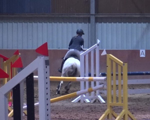 Reitturnier Troisdorf - Haus Rott 2019