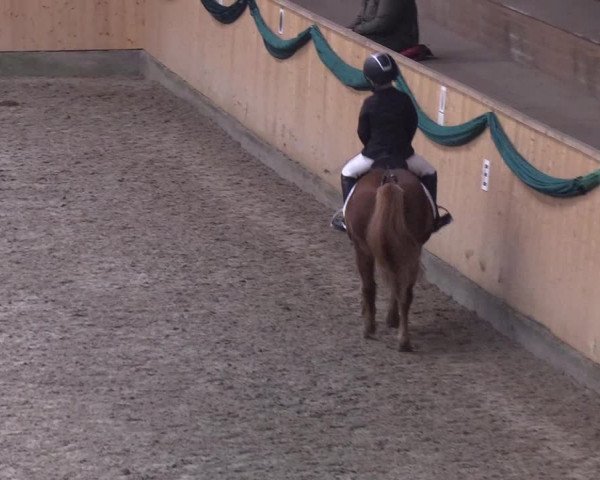 Reitturnier Leck 2019