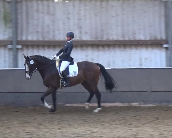 Reitturnier Troisdorf - Haus Rott 2019