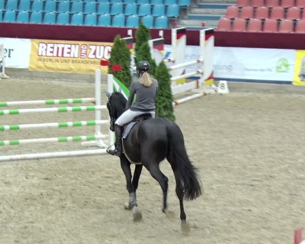 Reitturnier Neustadt/Dosse 2019