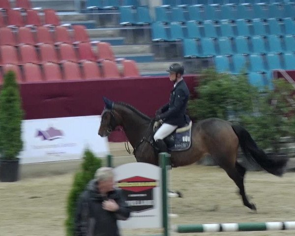 Reitturnier Neustadt/Dosse 2019