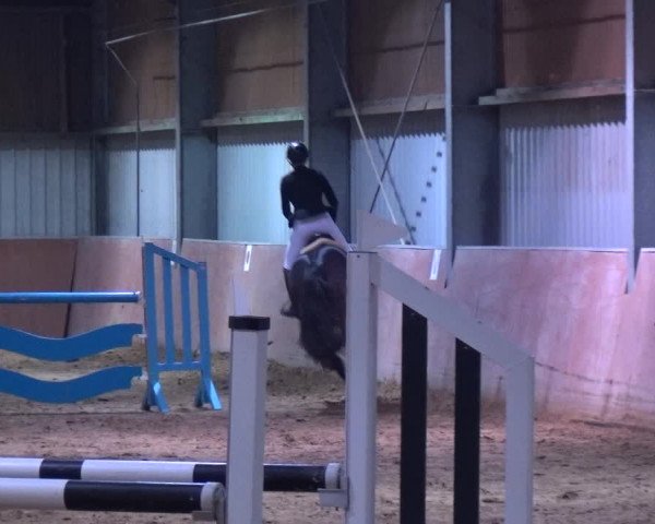 Reitturnier Troisdorf - Haus Rott 2019