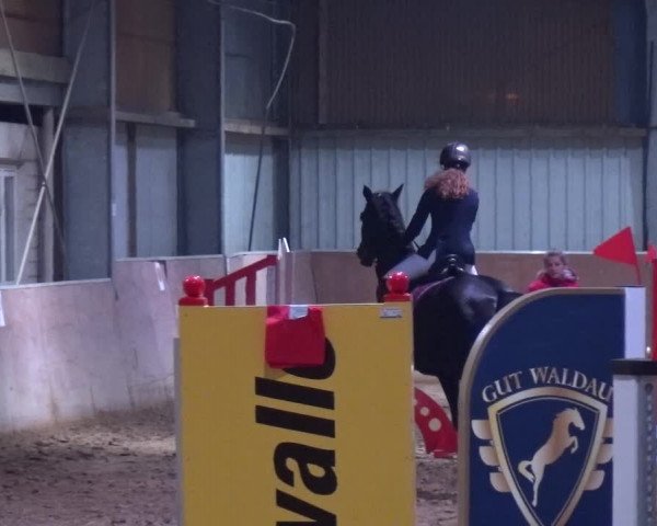 Reitturnier Troisdorf - Haus Rott 2019
